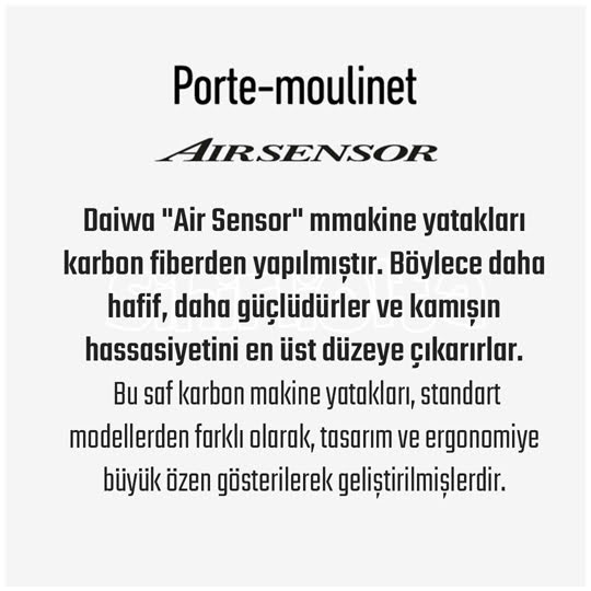 Porto Moulinet Airsensor.jpg (40 KB)