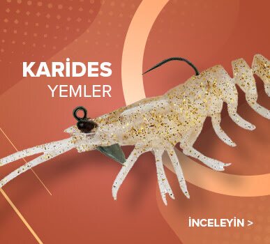 Slikon Karides Yemler