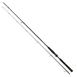 Daiwa New BG Seabass 244 Cm 14-42 Gr Spin Olta Kamışı - 1