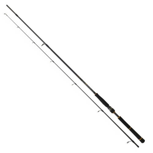 Daiwa New BG Seabass 244 Cm 14-42 Gr Spin Olta Kamışı - 1