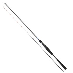 Daiwa Emeraldas Boat 198 Cm 40-100 Gr Tai Rubber Kamış - Daiwa
