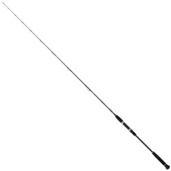 Daiwa Exceler Oceano 190 Cm 60-120 Gr 2 Parça Jig Kamışı - Daiwa