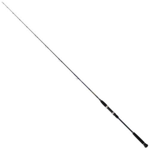 Daiwa Exceler Oceano 190 Cm 60-120 Gr 2 Parça Jig Kamışı - 1