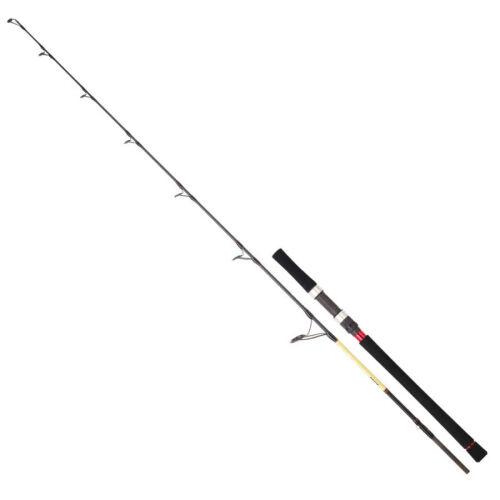 Daiwa Grandwave 168 Cm 100-300 Gr Jig Kamışı - 1