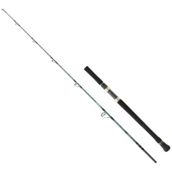 Daiwa Grandwave 168 Cm 15-50 Gr 2 Parça Jig Kamışı - Daiwa
