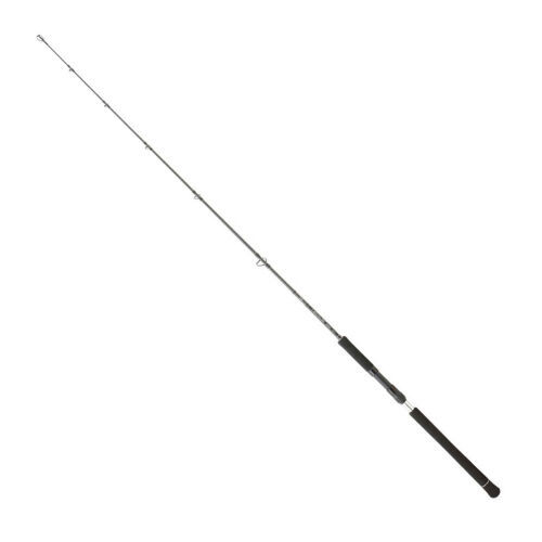 Daiwa Legalis O BF JG 173 Cm 100-300 Gr Jig Kamışı - 1