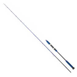 Daiwa Legalis Oceano JG 190 Cm 60-120 Gr 2 Parça Light Jig Kamışı - Daiwa