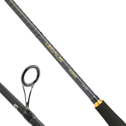 Daiwa Legalis Seabass BF 259 Cm 10-35 Gr Spin Olta Kamışı - 2