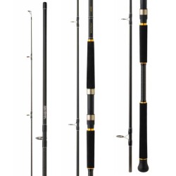 Daiwa Legalis Shore Jigging 290 Cm 28-84 Gr Shore Jigging Kamışı - 2