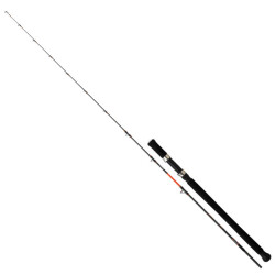 Daiwa Megaforce Jigging 180 Cm 30-80 Gr 2 Parça Jig Kamışı - 1