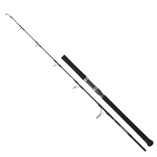 Daiwa New Saltiga AP 169 Cm Max. 300 Gr Jig Kamışı - 1