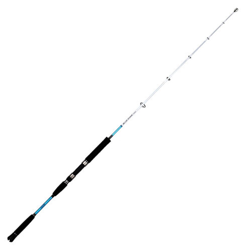 Fujin BlueGame Jigging 159 Cm 250-350 Gr Tek Parça Jig Kamışı - 1