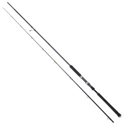 Fujin Hattori Madcast 290 Cm 20-80 Gr Shore Jig Kamışı - 1
