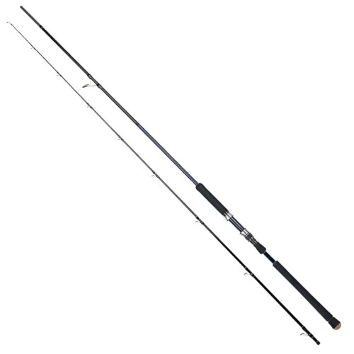 Fujin Hattori Madcast 290 Cm 20-80 Gr Shore Jig Kamışı - 1