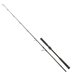 Fujin Valhalla Bigsea 178 Cm Max. 250 Gr Jig Kamışı - Fujin
