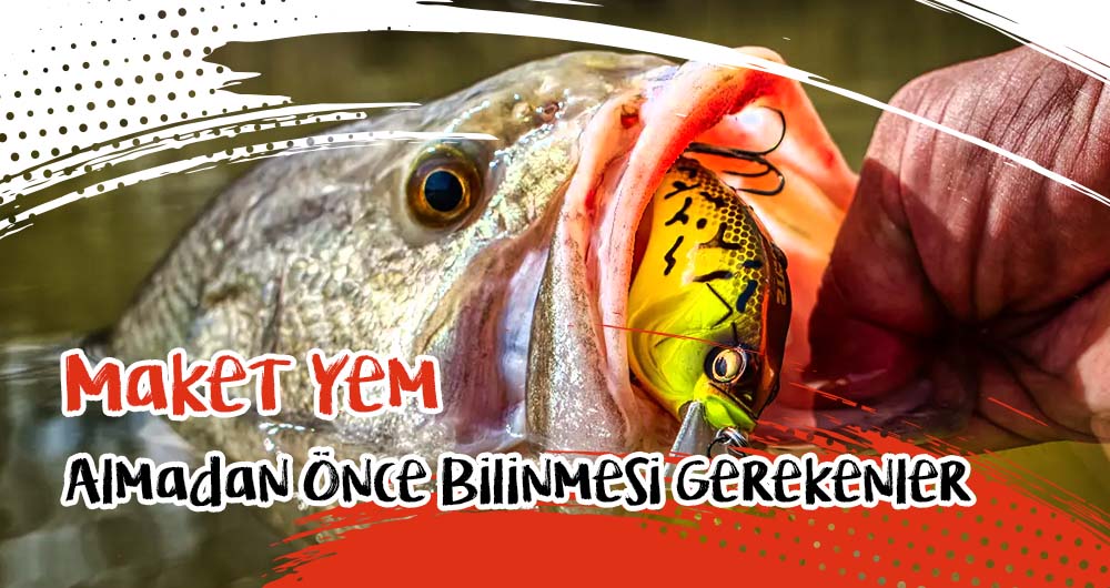 Maket Yem Almadan Önce Bilinmesi Gerekenler