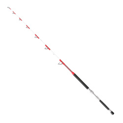 NS Black Hole Magic Eye Big Game 183 Cm 40-150 Lb Trolling Kamışı - 1