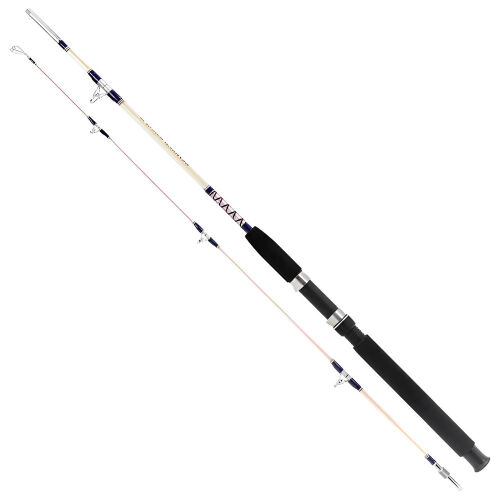 Remixon Hurricane Serisi 165 Cm 20-40 Lbs Olta Kamışı - 1