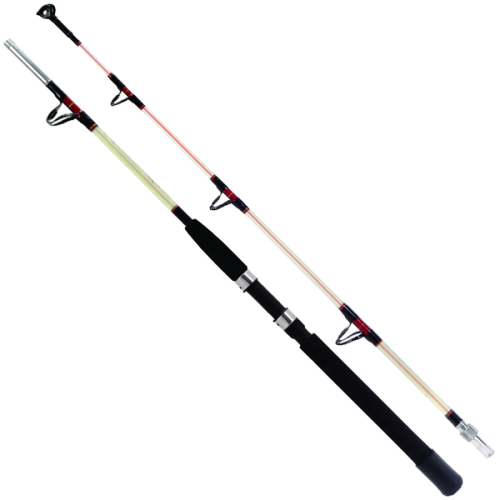 Remixon Hurricane Trolling Serisi 165 Cm 30-80 Lbs Olta Kamışı - 1