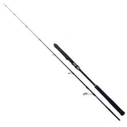 Ryuji Seawolf 180 Cm 300-600 Gr 2 Parça Jig Kamışı - Ryuji