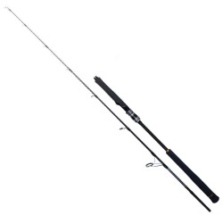 Ryuji Seawolf 180 Cm 300-600 Gr 2 Parça Jig Kamışı - 1