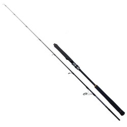 Ryuji Seawolf 183 Cm 200-400 Gr 2 Parça Jig Kamışı - 1