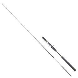 Ryuji Seawolf B 198 Cm 30-150 Gr 2 Parça Jig Kamışı - 1