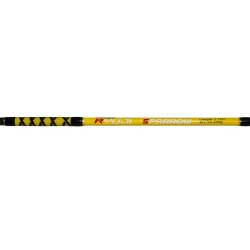 Ryuji Sparrow 170 Cm 15-200 Gr Bot Kamışı - 4