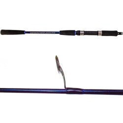 Ryuji Strobe 198 Cm 40-110 Gr Jigging Kamışı - 2