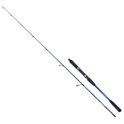 Ryuji Strobe II 168 Cm 60-130 Gr 2 Parça Jig Kamışı - Ryuji