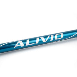 Shimano Alivio Surf 450 Cm 225 Gr Surf Kamışı - 2