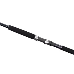 Shimano Currentsniper XR 295 Cm Max. 120 Gr Shore Jig Kamışı - 2