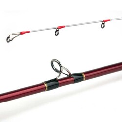 Shimano Engetsu BB Jigging 206 Cm 40-130 Gr Tai Rubber Kamışı - 4