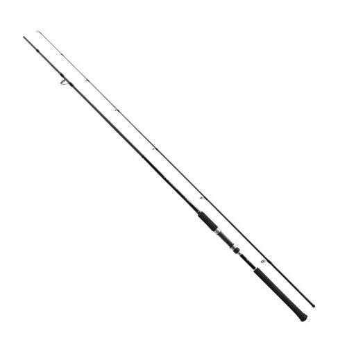 Shimano Salty Advance 290 Cm Max. 80 Gr Shore Jig Kamışı - 1