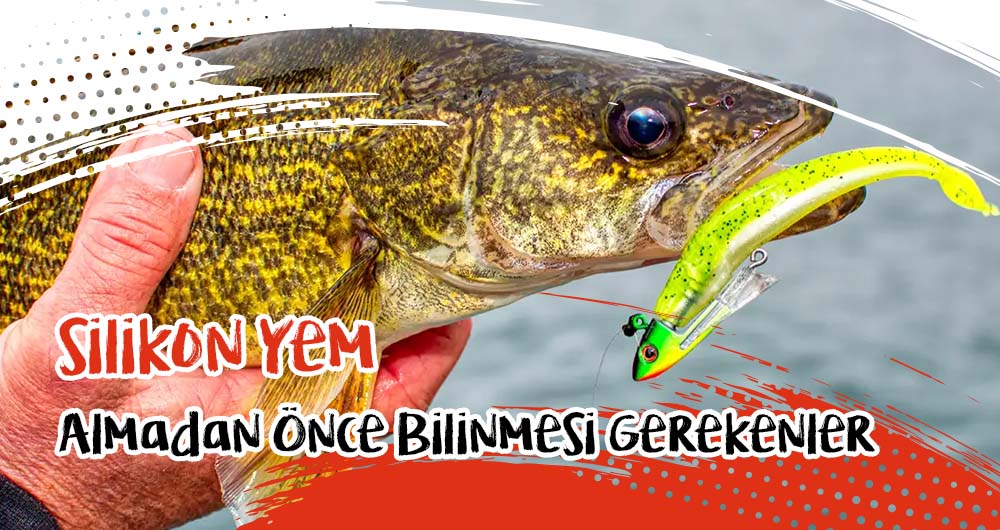 Silikon Yem Almadan Önce Bilinmesi Gerekenler