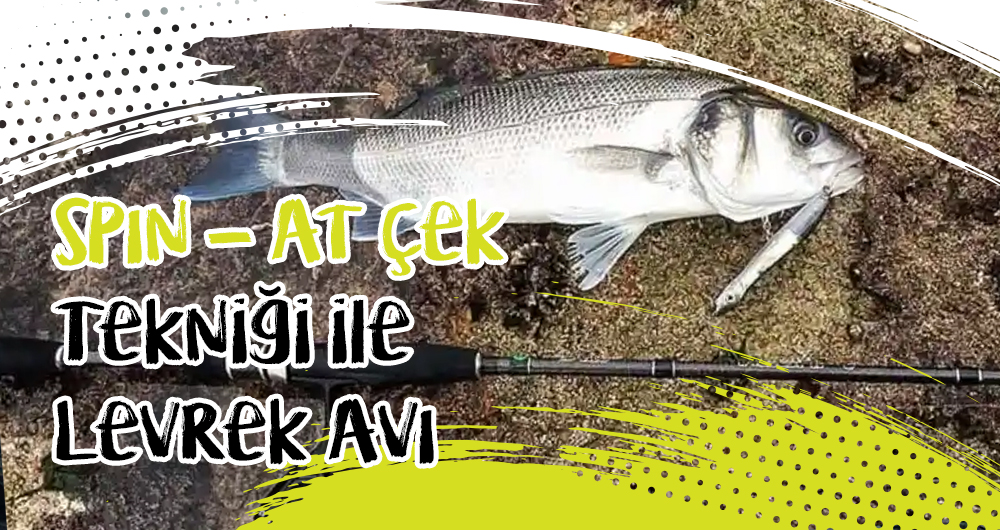 Spin At-Çek Tekniği ile Levrek Avı Nasıl Yapılır?