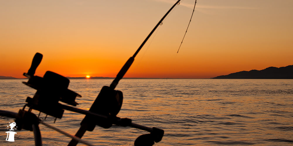 TROLLING NEDİR? YÖNTEMLERİ NELERDİR?