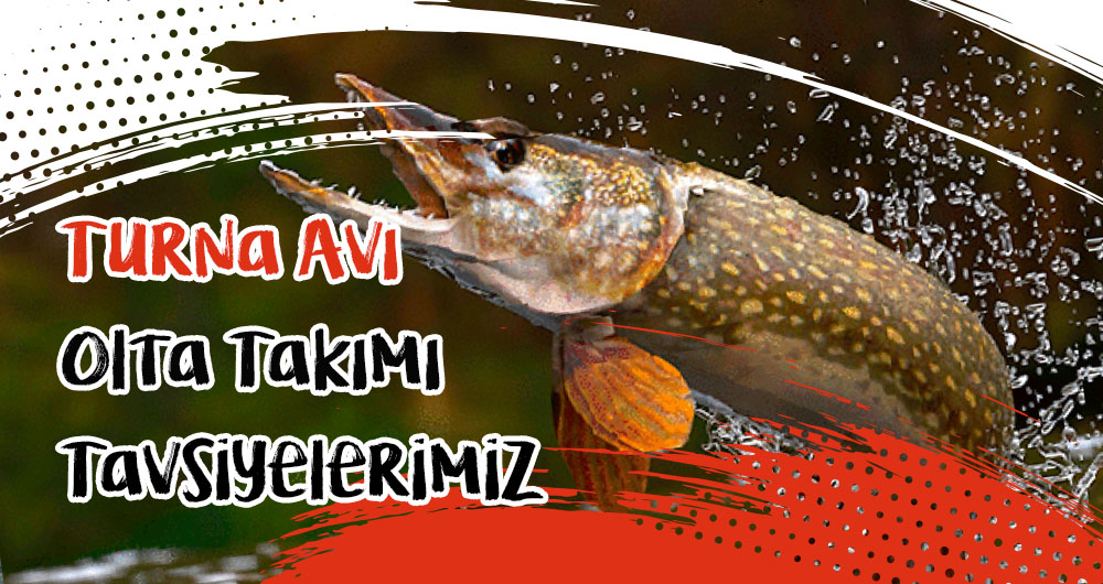 Turna Avı için Takım Olta Takımı Tavsiyelerimiz